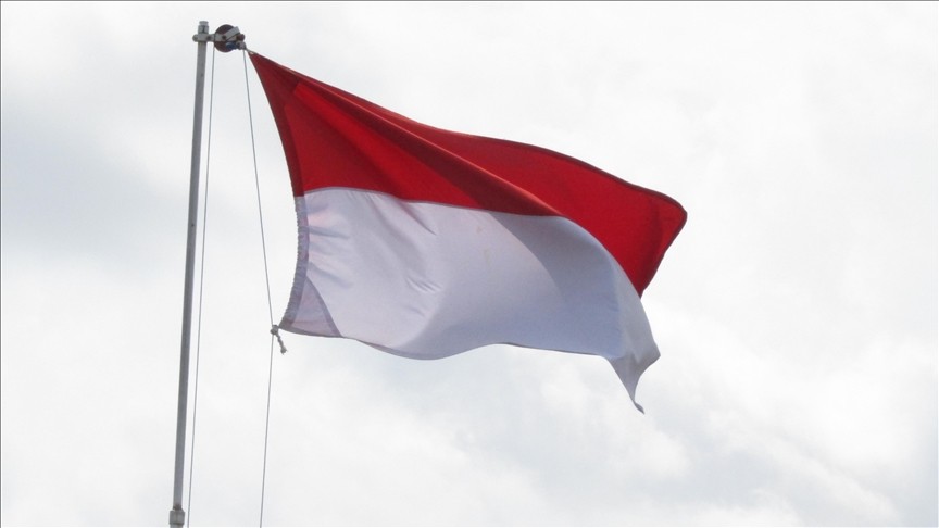 Endonezya'da 9 metrelik piton, bir kadını yuttu