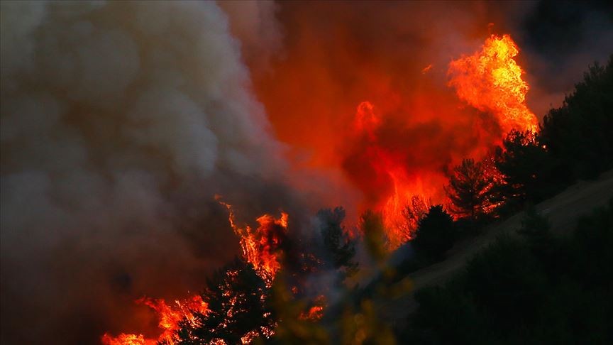 Bingöl'ün 2 ilçesinde çıkan orman yangını çıktı