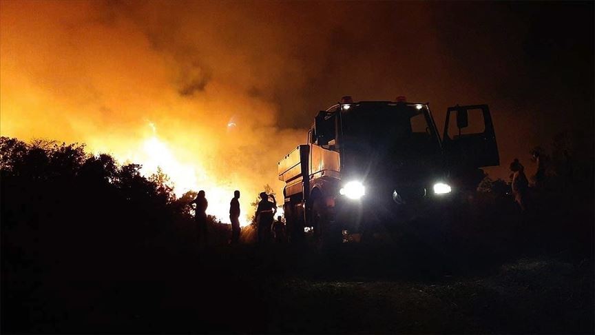 Adana Aladağ'da çıkan orman yangını kontrol altına alındı