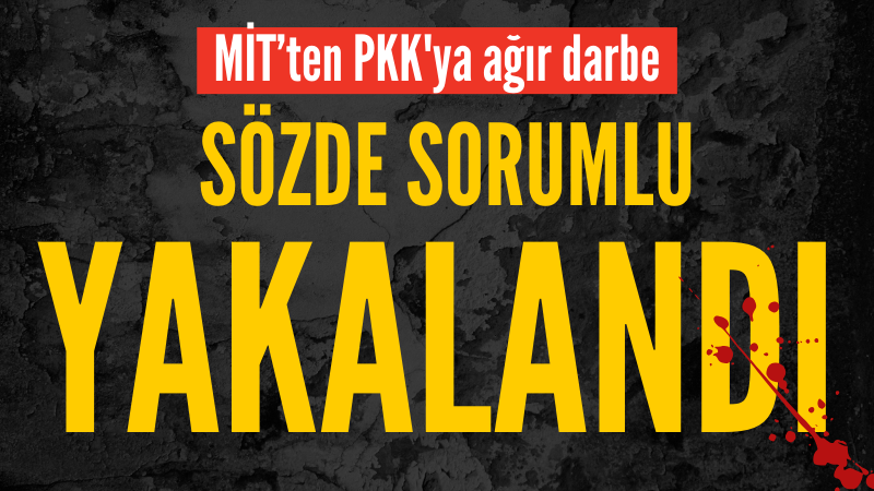 MİT'ten PKK'nın İsveç'teki yapılanmasına darbe