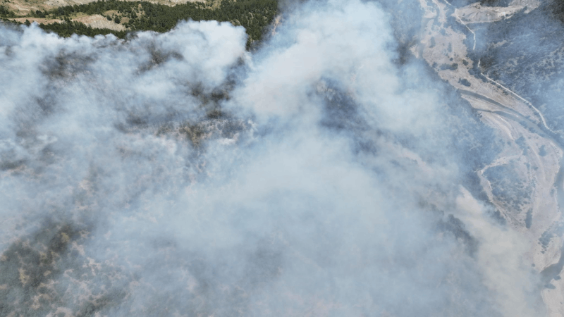 Karabük'te ormana yıldırım düştü yangın çıktı