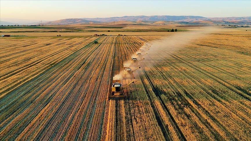 Türkiye tarımsal hasılada Avrupa'da birinci