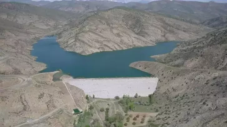 Niğde'de baraj ve göletlere 52 bin sazan yavrusu bırakıldı