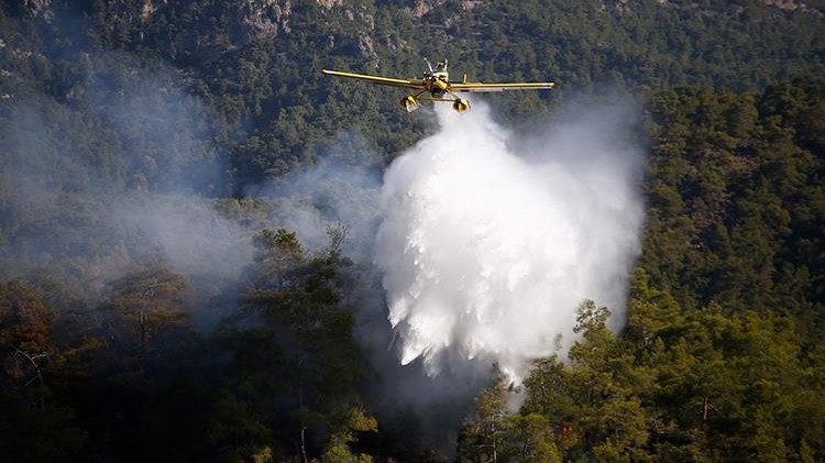 Ankara'da çıkan orman yangını müdahale sonucu söndürüldü