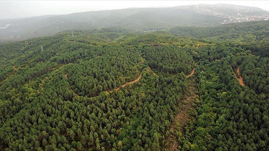 Bursa'da ormanlık alanlara giriş yasaklandı