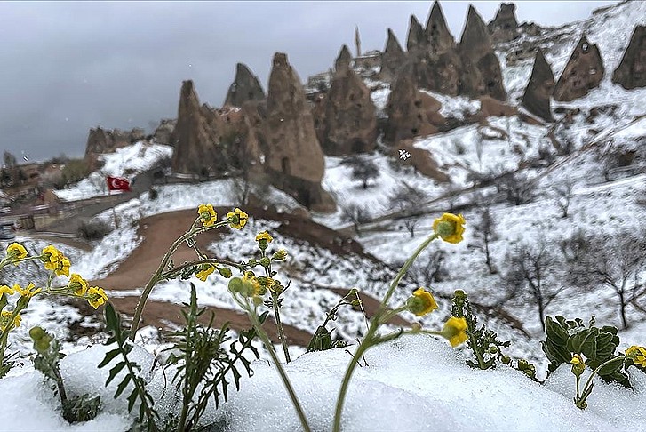Kapadokya'da çiçekler kar altında kaldı