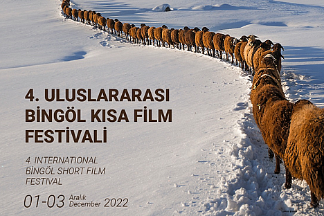 4. Bingöl Uluslararası Kısa Film Festivali'nin programı açıklandı