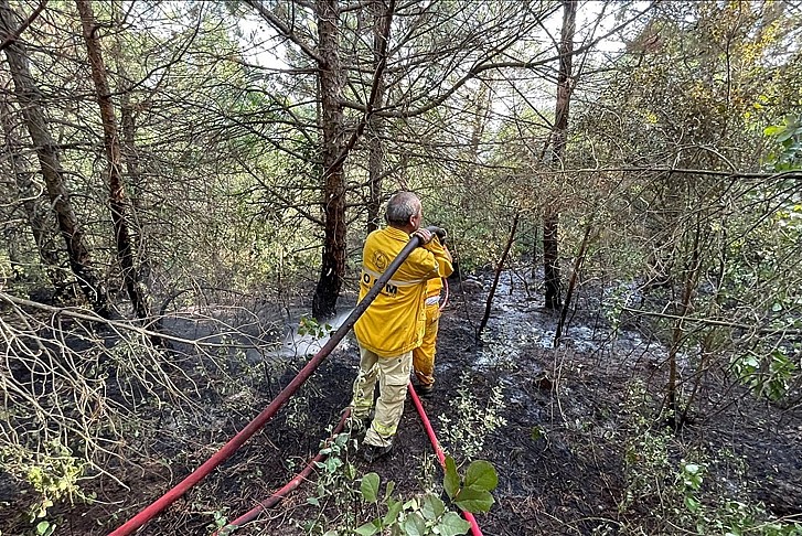 Uludağ'da orman yangını kontrol altına alındı