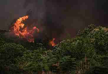İspanya'daki orman yangını 5. gününde sürüyor