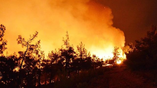 Avustralya'daki yangınlarda 100 bin hektarlık alan zarar gördü