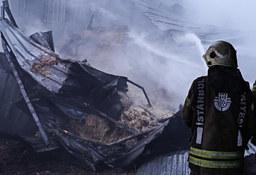Çatalca'da bir çiftlikte yangın çıktı