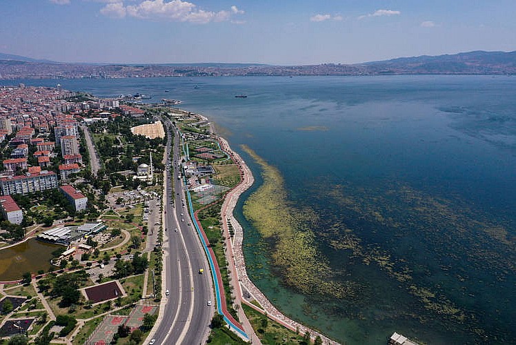 İzmir Bostanlı sahilinde yosun tabakası oluştu