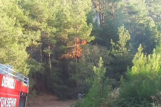 Denizli'de orman yangını: Müdahale sürüyor