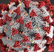 10 Kasım koronavirüs tablosu açıklandı!