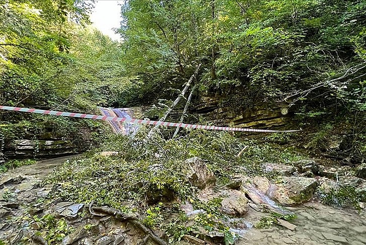 Sinop'ta ağaç devrildi: 2 ölü, 1 yaralı