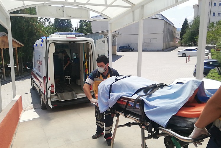 Bilecik'te ayının saldırdığı kişi yaralandı