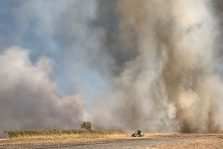 Afyonkarahisar'daki kamışlık alanda yangın çıktı