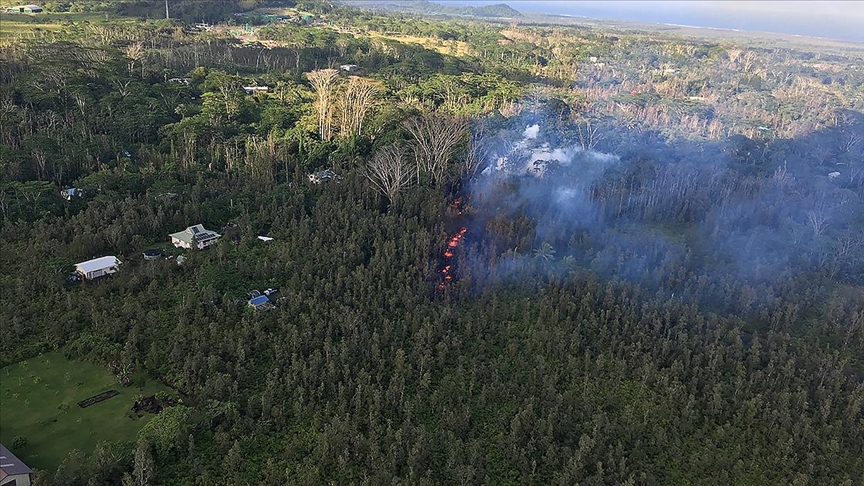 hawaii-orman-yangini_0ea687e1a7c3cc5f837873c28129b83c.jpg