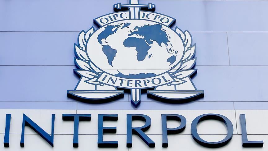 interpol1_41fb8a7d62cc060cec2fa3f75fb5b4c9.jpg